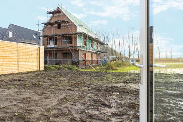 11-Moerasorchidee 29 - Lelystad.JPG